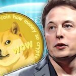 Elon Musk ve Meme Coin İlişkisi
